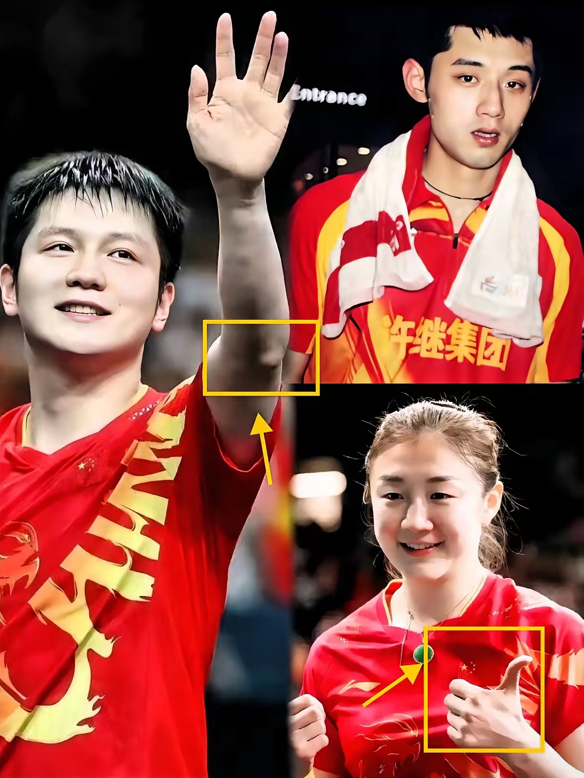 中国队完胜波兰队，张继科点燃赛场