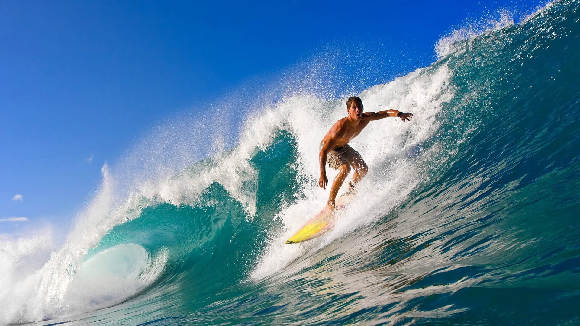 从里昂到美加墨，金玟哉的防守艺术如何让巴西沉默，并预示世界杯新秩序